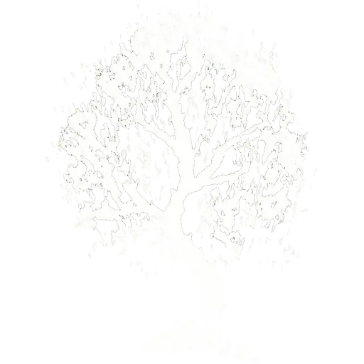 Sage Stage Logo